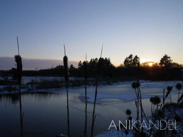 En vinter bild