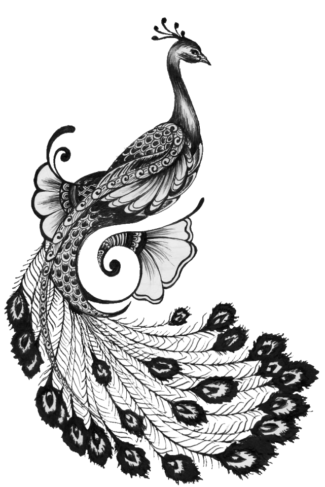 Peacock logo